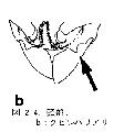 ../images/102004b.gif
