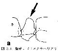 ../images/1_article.gif