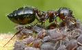 ../images/crecer2reduced.jpg