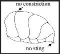 ../images/figure4.jpg