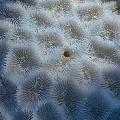 ../images/illus-genres-tous/Favites-sp/DSCN6417.jpg