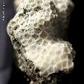 ../images/museum-paris/madracis/PICT0118.jpg