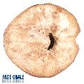 ../images/i14_orag.jpg