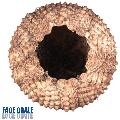 ../images/i4_orag.jpg