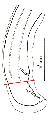 ../images/dispa_entre.PNG