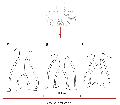 ../images/ratio8_cote_dorsale.png