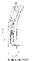 ../images/vulve.png