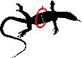 ../images/silhouettemidbody.jpg